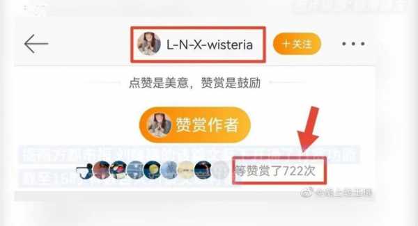 媒体评刘鑫募捐:践踏法律的小丑!收到网友2万多元打赏