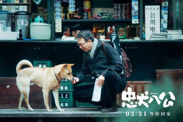 《忠犬八公》冯小刚称狗狗是主角,拍摄用了多少只狗