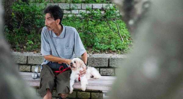 车保罗为什么脸那么长?车保罗为什么穷