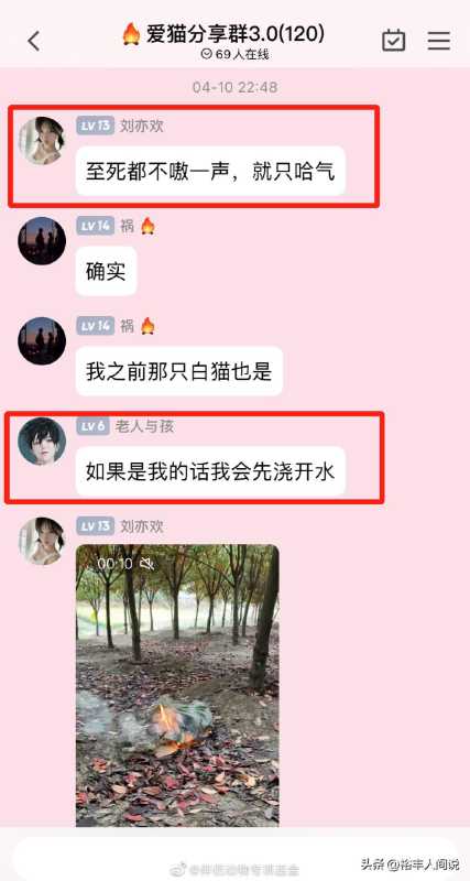 美食博主杰克辣条虐猫!绑树上用钳子夹猫爪