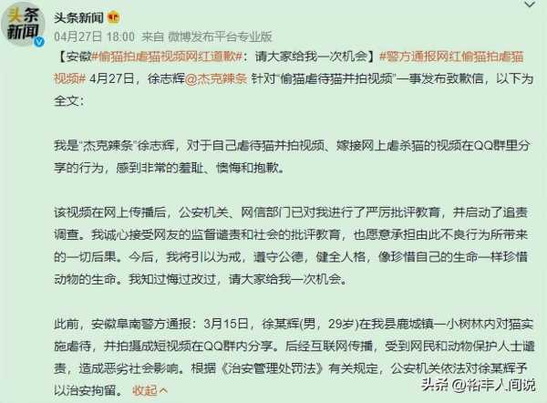 美食博主杰克辣条虐猫!绑树上用钳子夹猫爪