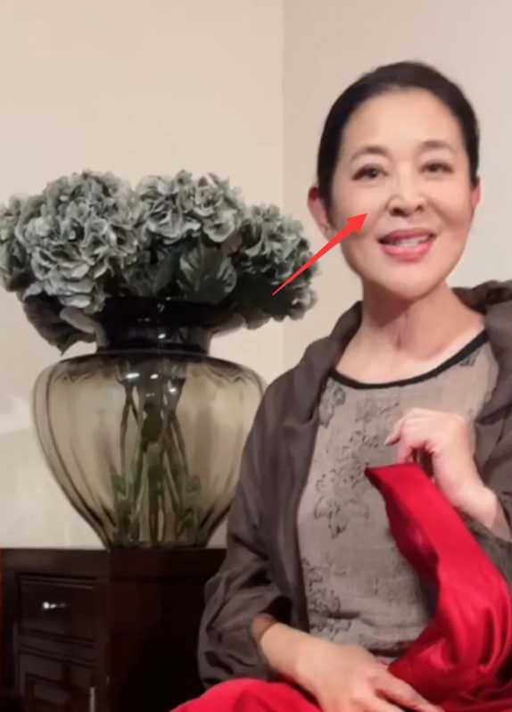 倪萍最新消息2023!鼻孔外翻被质疑整容