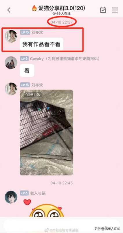 美食博主杰克辣条虐猫!绑树上用钳子夹猫爪