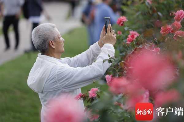 023网络名人海南行（十万人才下海南）"