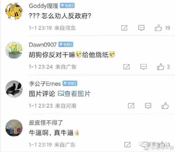 胡锡进是什么人?胡锡进为什么什么都敢说