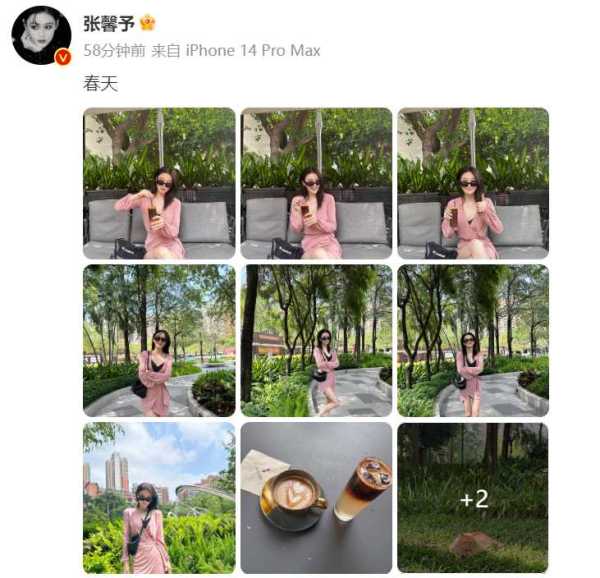 张馨予为什么不拍戏了?2023张馨予老公现状