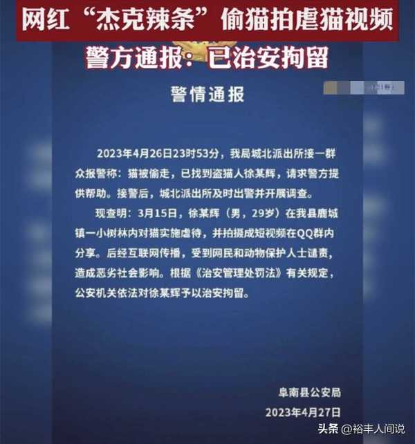 美食博主杰克辣条虐猫!绑树上用钳子夹猫爪