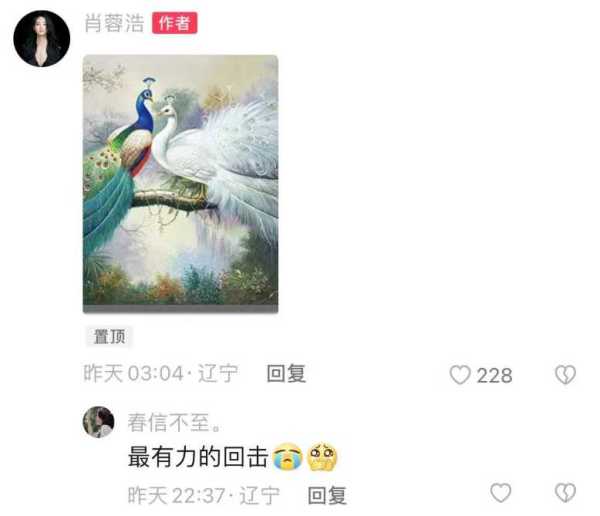 杨丽萍为什么总戴帽子?杨丽萍真实人品如何