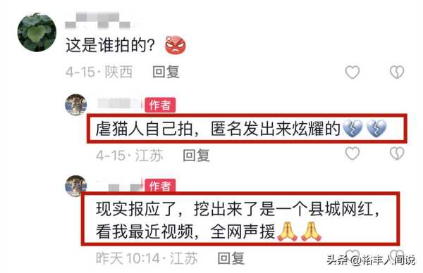 美食博主杰克辣条虐猫!绑树上用钳子夹猫爪