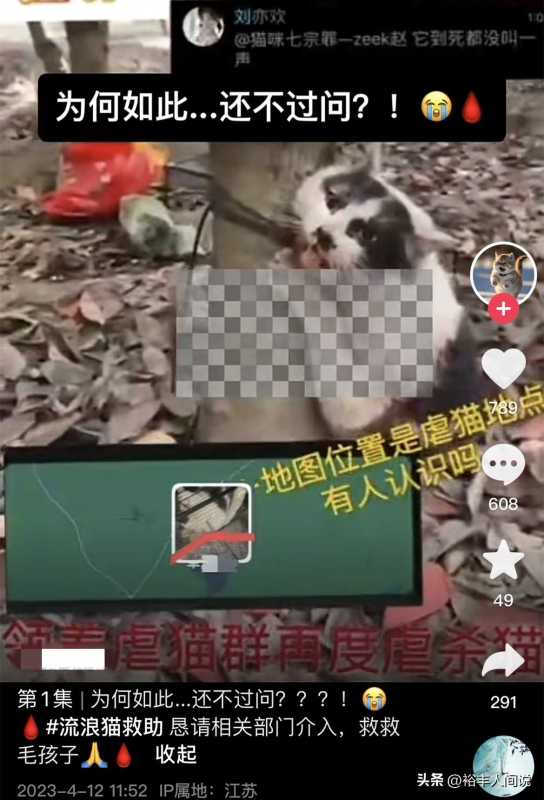 美食博主杰克辣条虐猫!绑树上用钳子夹猫爪