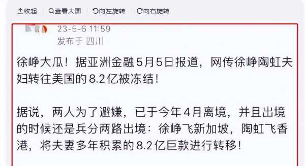 徐峥妻子陶虹近况如何?回应出国转移数亿财产