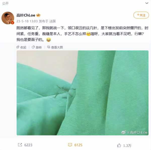 高叶回应戛纳礼服开线了!高叶的老公是谁?