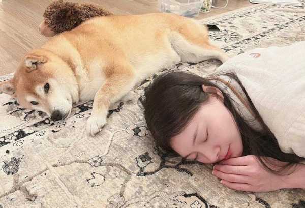 郑爽退圈后在干嘛?2023郑爽目前最新消息