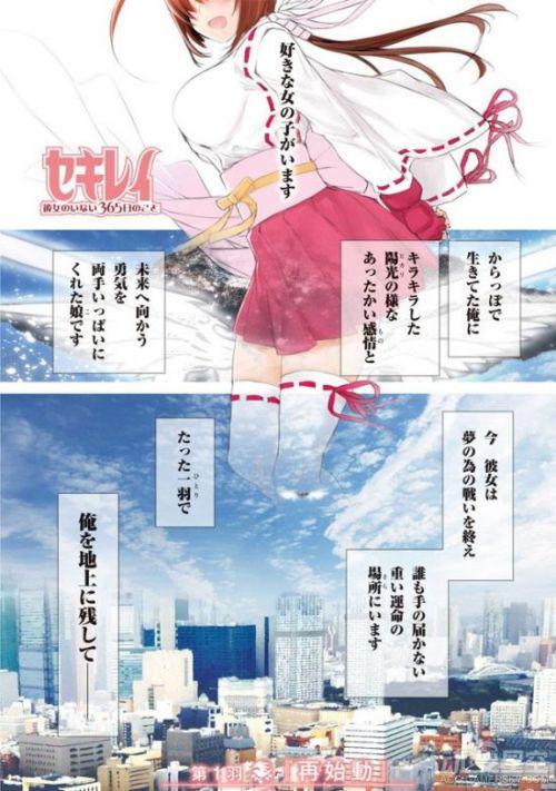 鹡鸰女神第三季多久出?鹡鸰女神上映时间