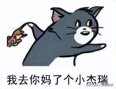 韩美腻是谁（韩美腻和韩护卫视频）