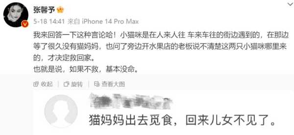 张馨予和何捷是怎么认识的?2023罕见秀恩爱