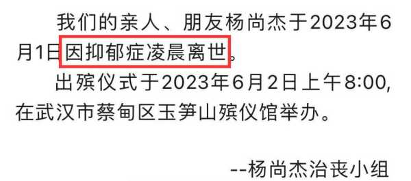 抑郁的明星去世名单!一个26岁,一个28岁