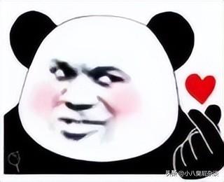 韩美腻是谁（韩美腻和韩护卫视频）