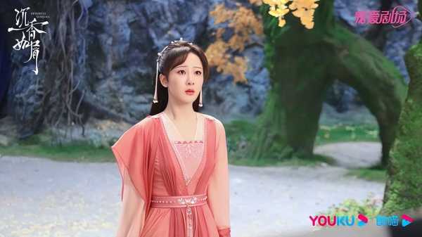 应渊和芷昔圆房了吗?芷昔怀了谁的孩子