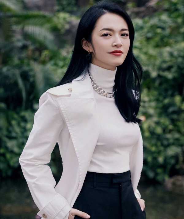 姚晨一共几任丈夫?姚晨前夫凌潇肃的现状