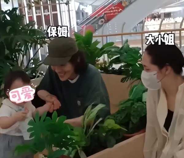 向佐自称保姆叫郭碧婷大小姐!2023现状