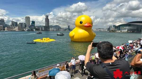 香港大黄鸭被热爆一只!2023小黄鸭香港游