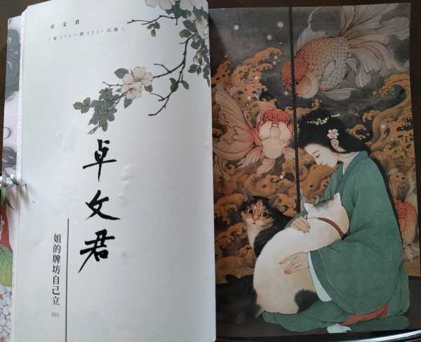 历史上乘风破浪的姐姐们里谁被孤立