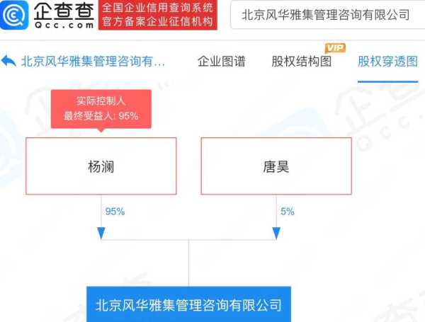 杨澜公司被冻结270万财产,杨澜开的什么公司