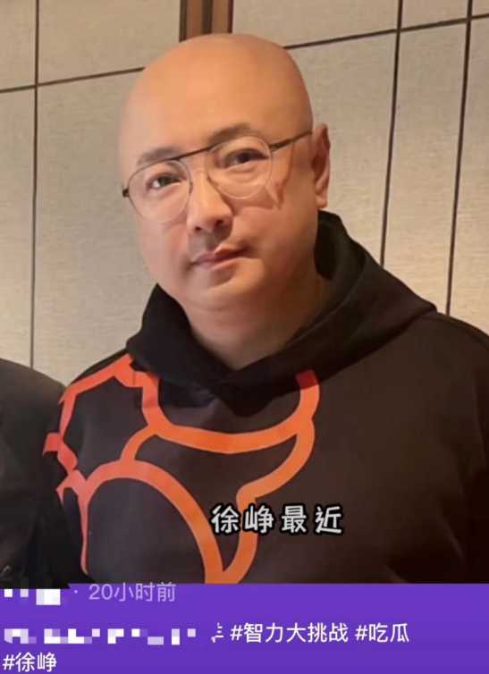 陶虹公开承认与徐峥各玩各的?曝婚变升级