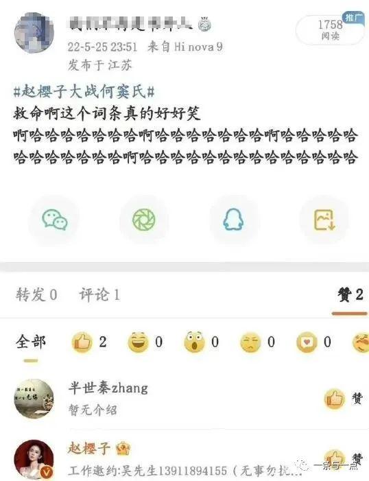 赵樱子是几线明星?赵樱子为什么讨人厌