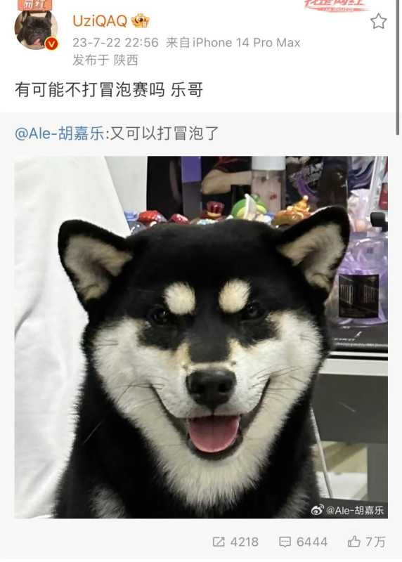 Uzi后台哭了!EDG拿下OMG幕后花絮曝光