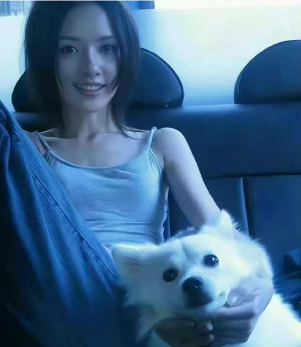 向佐与郭碧婷现状!向佐说我天天都回家