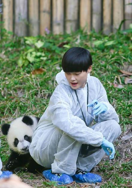 李宇春把熊猫带到了舞台上!音乐中的熊猫元素