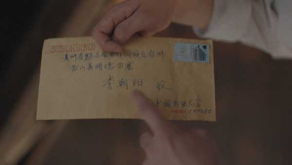 你可以永远相信河南卫视《七夕奇妙游》