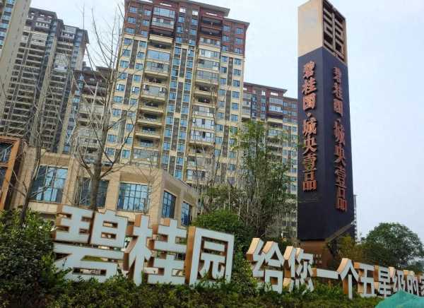 碧桂园最新消息!实探碧桂园危机中的买房人