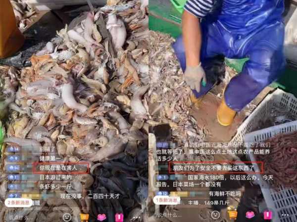 中国渔民回应直播间遭谩骂!网友呼吁理性对待