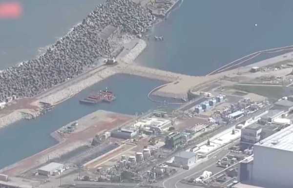 海关总署:全面暂停进口日本水产品