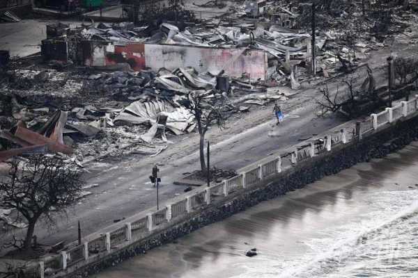 夏威夷大火约100人跳太平洋逃生