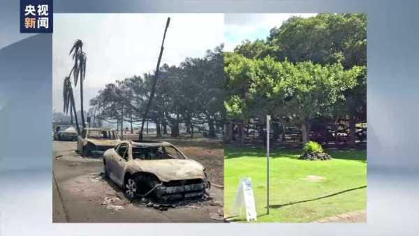 夏威夷大火约100人跳太平洋逃生