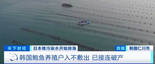 韩国鲍鱼养殖户申请破产数量激增