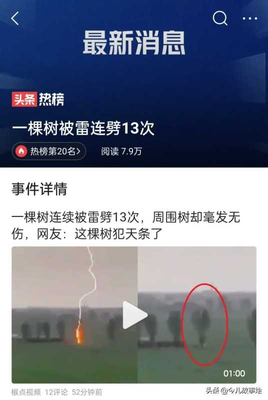 一棵树被雷连劈13次!生命的奇迹