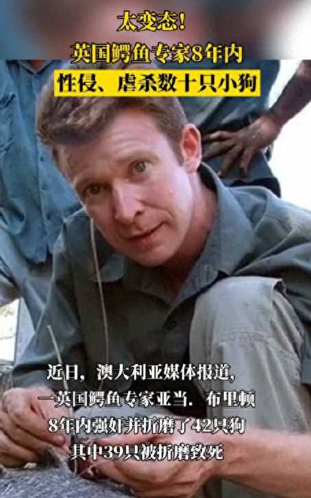英国鳄鱼专家性侵数十只小狗!如此变态