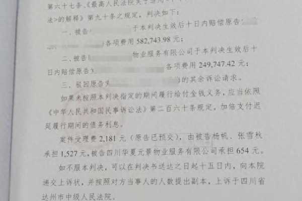 男孩扔木块砸死老人被判赔58万