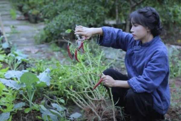 为啥有些网红突然不见了?曾经很火现在凉了的网红