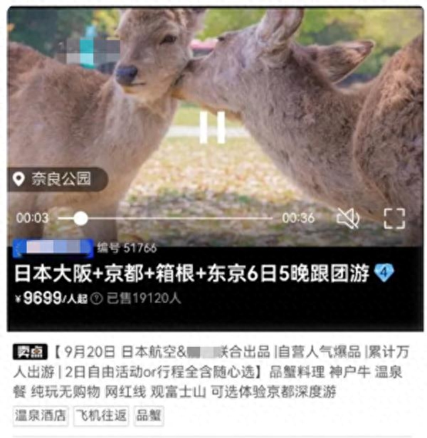 游客吐槽国庆机票疯狂跳水!心态炸了