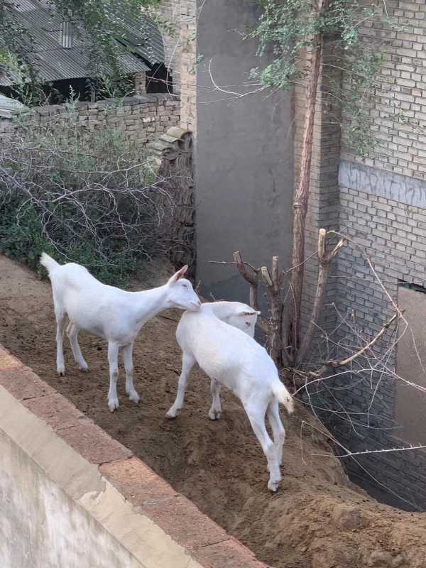 年轻人如何选择定居城市?选城市就是二次投胎