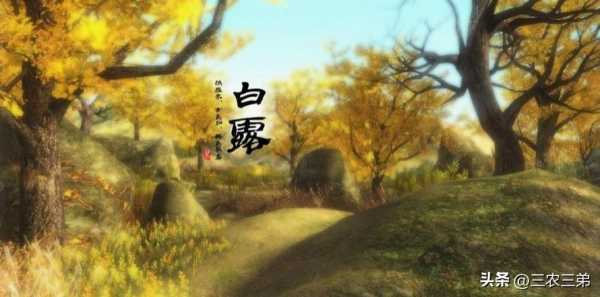 台风苏拉入海充能 或将二次登陆广东