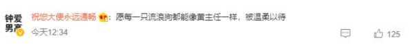 网红流浪狗“黄主任”去世了