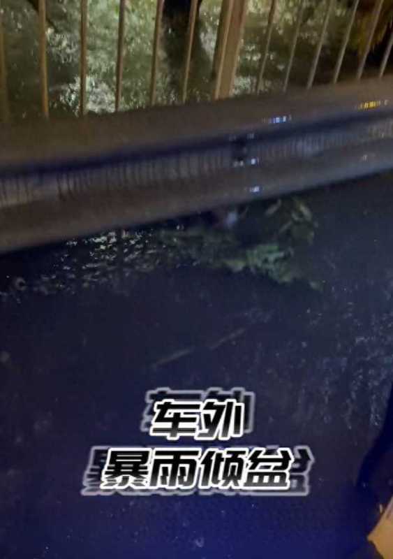 郑希怡香港暴雨中被困车内!容祖儿揸车好惊险