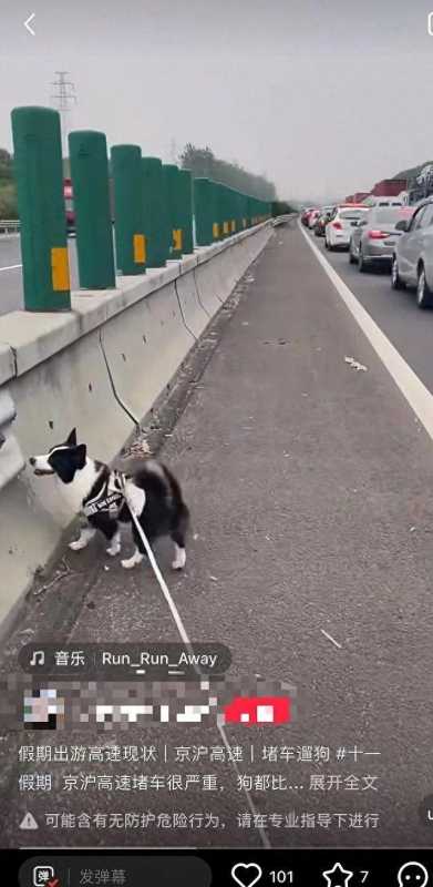 广东肇庆为中秋节全国最堵城市